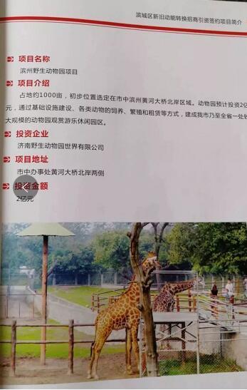 厲害了我的大濱州，15個招商引資項目集中簽約！